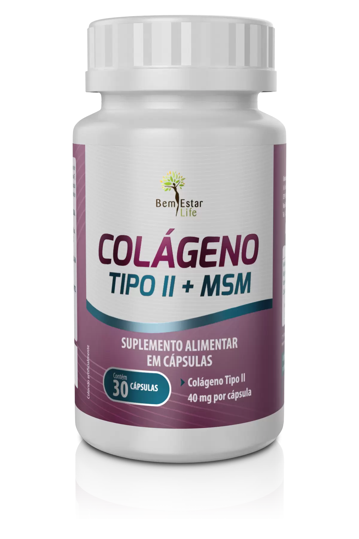 COLAGENO TIPO II + MSM - 30 CAPS