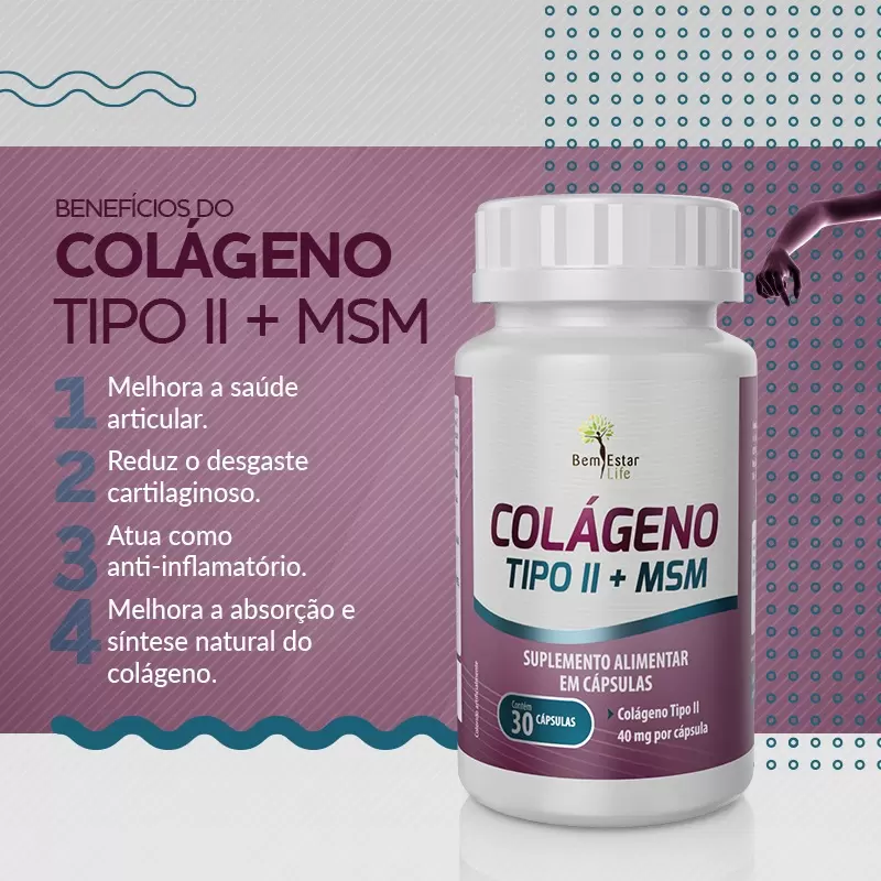 COLAGENO TIPO II + MSM - 30 CAPS